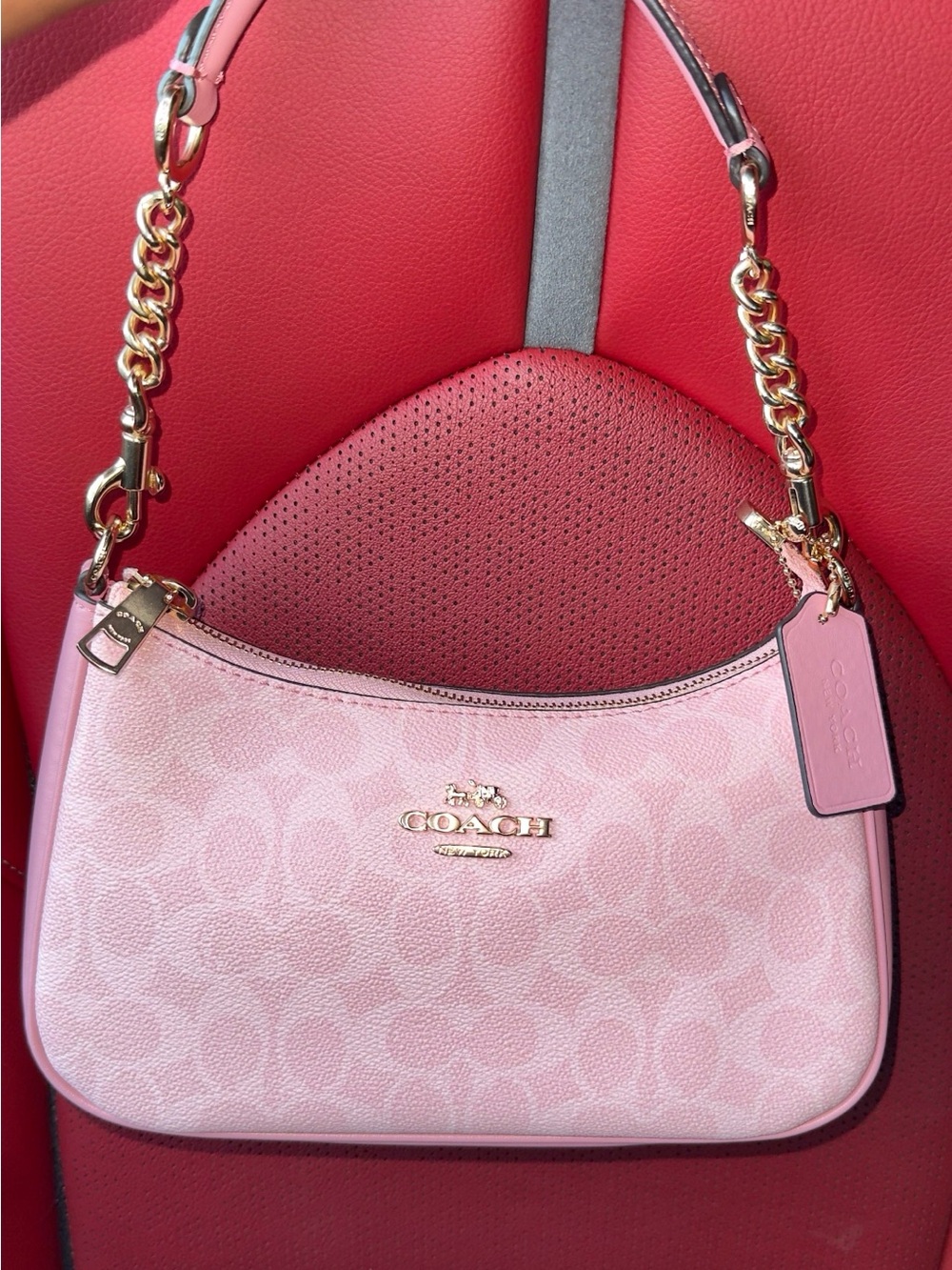 Coach Pink Teri Signature Chain-Handle Shoulder Bag